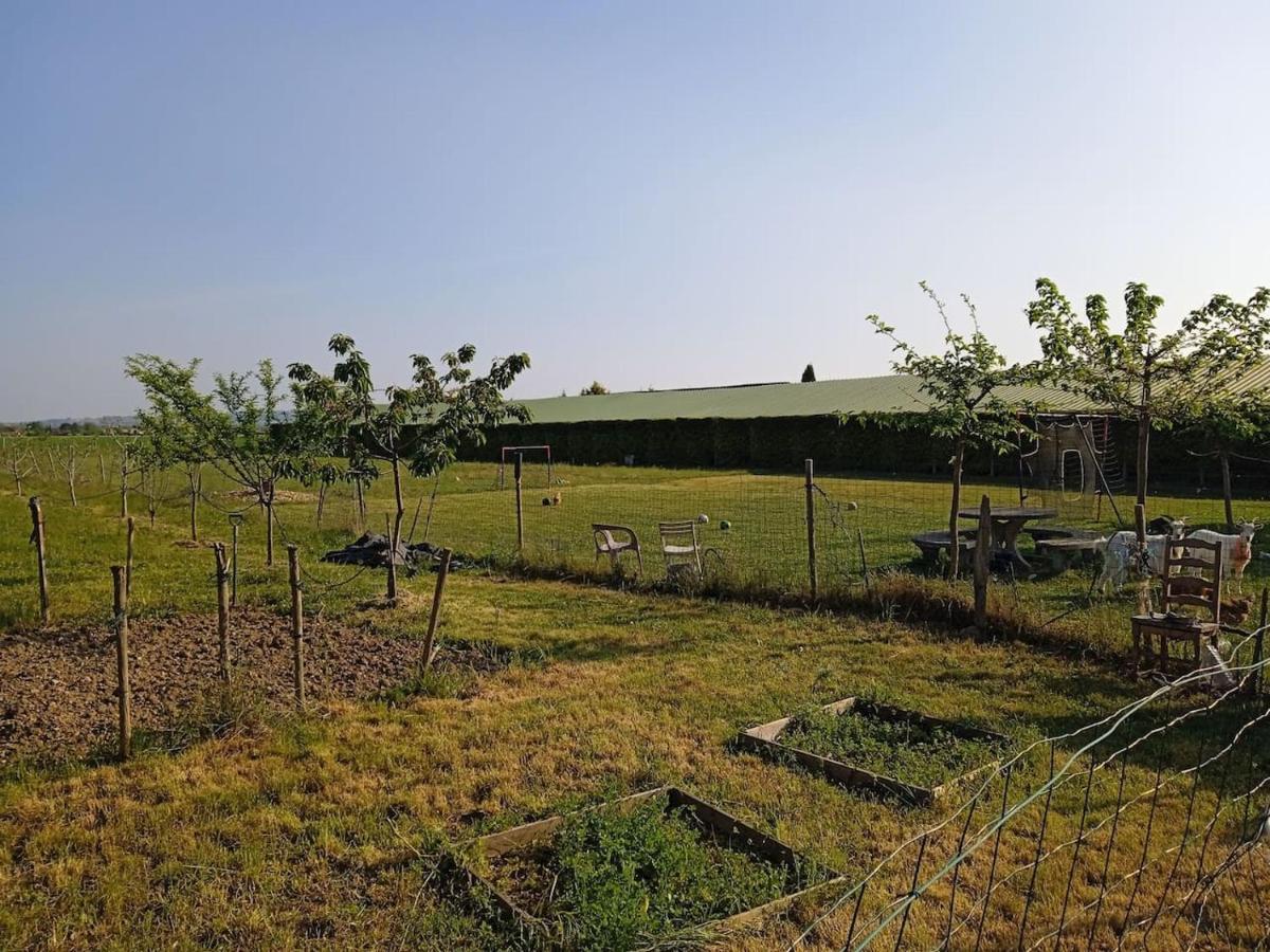Charmante Maison Avec Piscine Hébergement de vacances